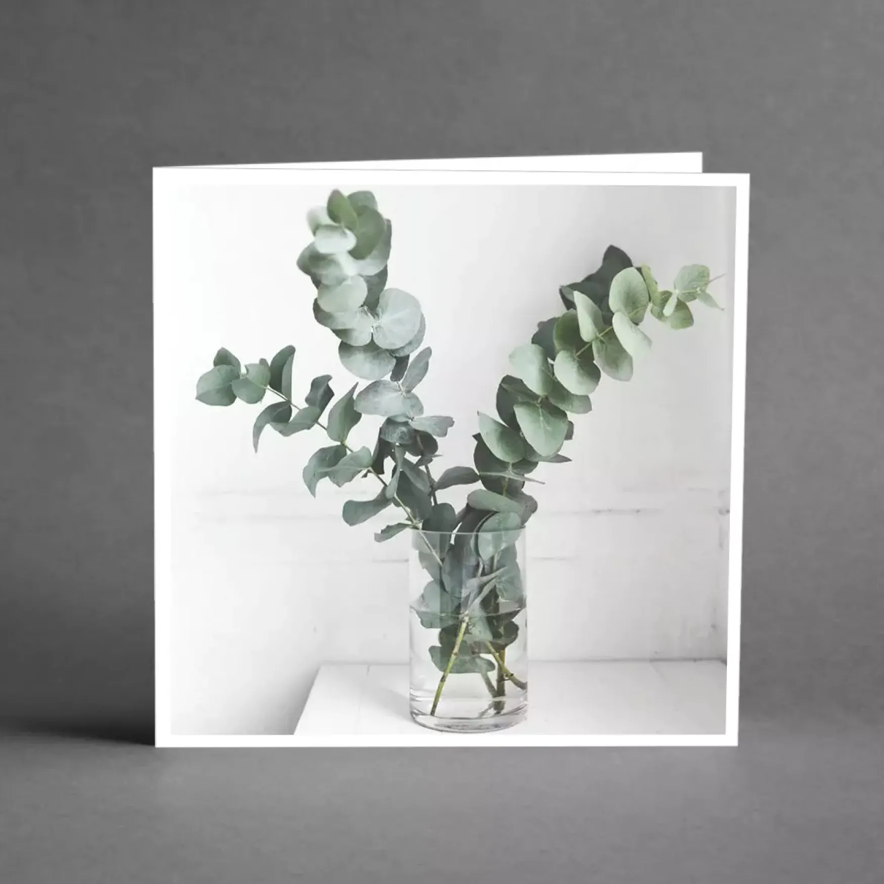 Discount Grande eucalyptus