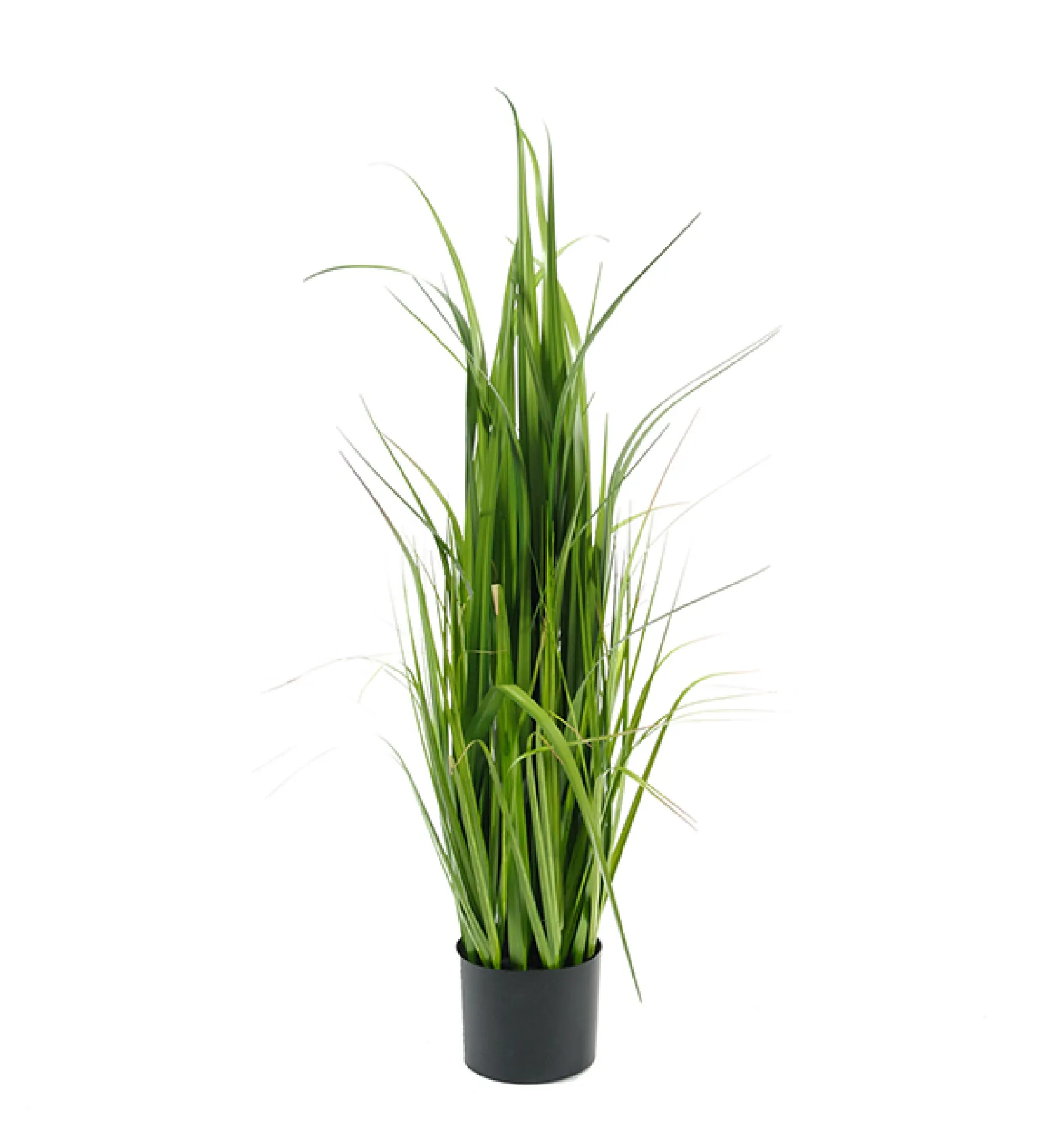 Hot Mr Plant Heinäruukku iso