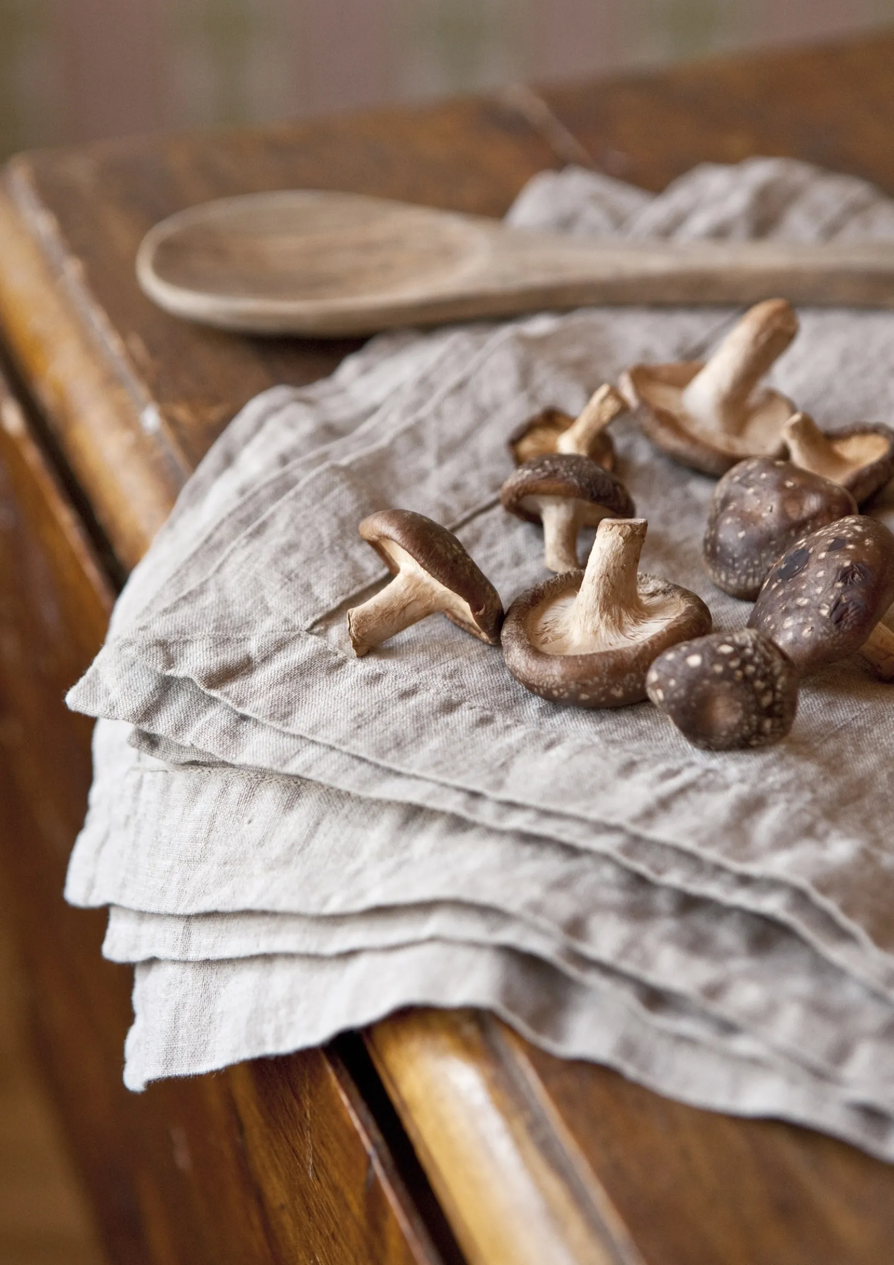 Sale Balmuir Sisilia linen napkin, linen melange