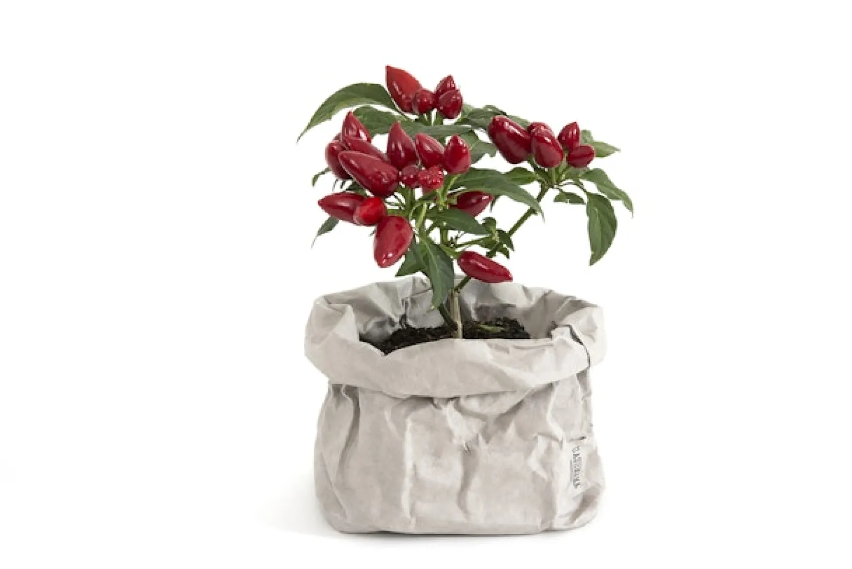 New Uashmama paperipussi M, harmaa GREY